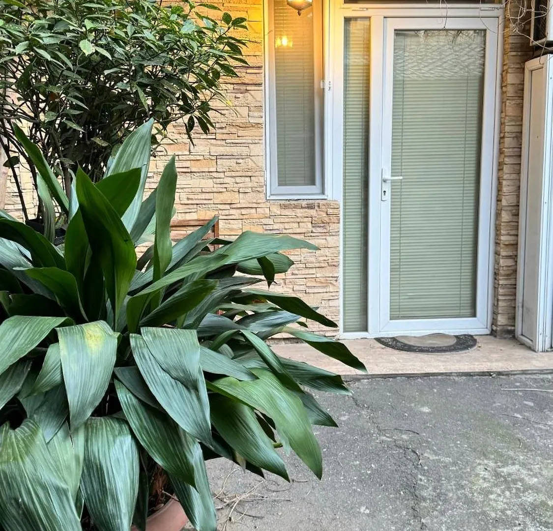 Cozy Apartment Tbilisi